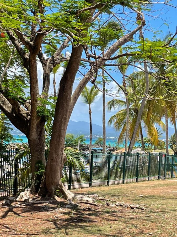 Cauris Lodge Du Marisol Vue Mer Acces Direct Plage Avec Citerne D Eau Le Gosier  Eksteriør billede